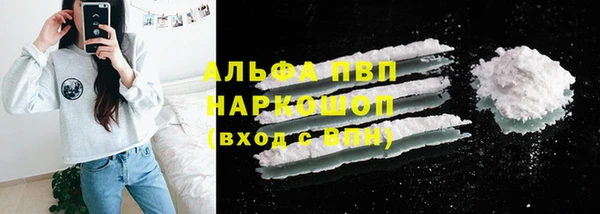 индика Ростов