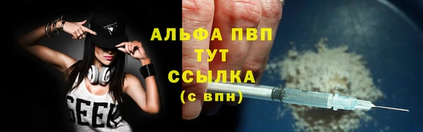 винт Горно-Алтайск
