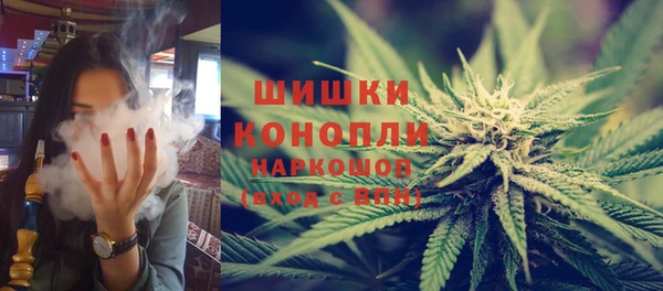 винт Горно-Алтайск