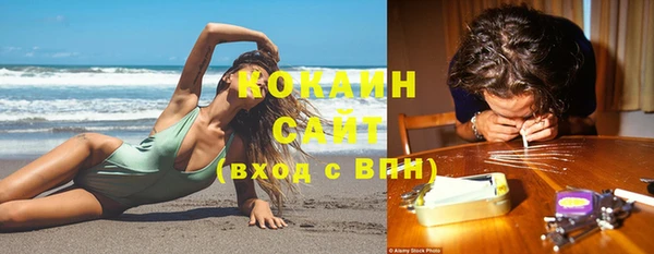 винт Горно-Алтайск