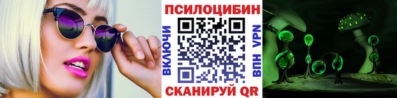 OMG tor  Губкин  Галлюциногенные грибы GOLDEN TEACHER 