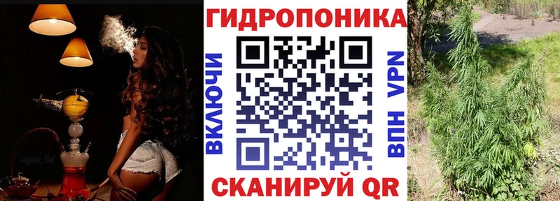 Бошки Шишки SATIVA & INDICA  наркотики  Губкин 